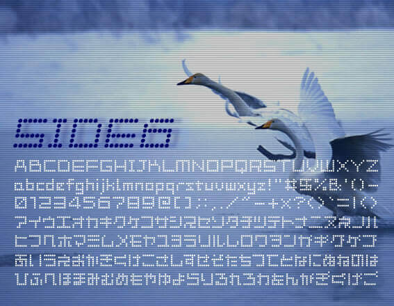 サイド6