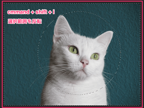 circle-cut06.png 選択範囲を反転させる