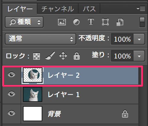 circle-cut09 2 (1).png 新しいレイヤーに選択範囲がコピーされる