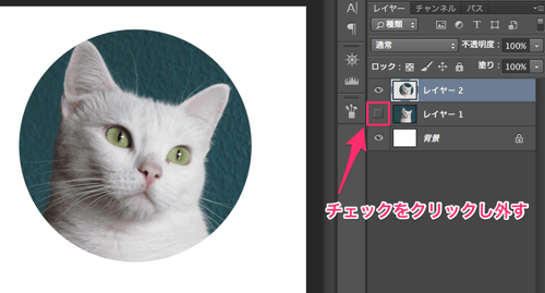 circle-cut10.png レイヤーのチェックを外す