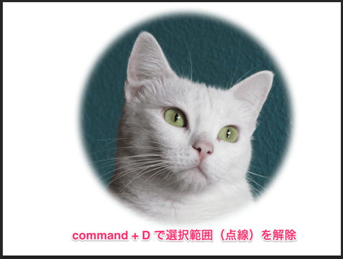 circle-cut13.png 選択範囲の解除