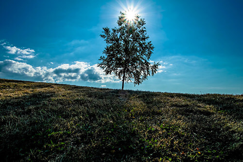 high-dynamic-range-images