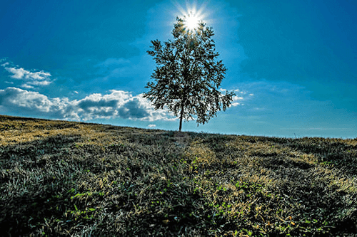 high-dynamic-range-images04