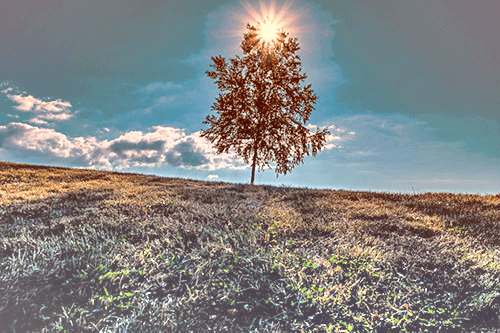 high-dynamic-range-images11