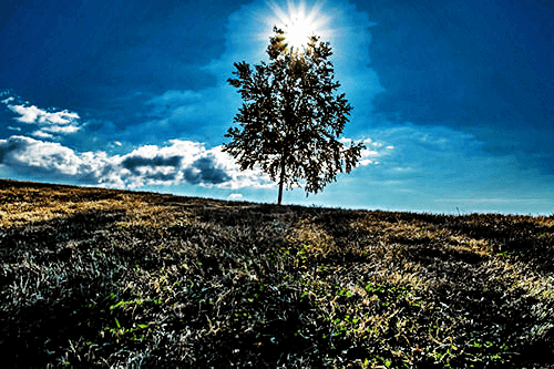 high-dynamic-range-images13