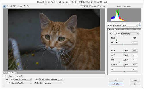 photoshop cs2 raw